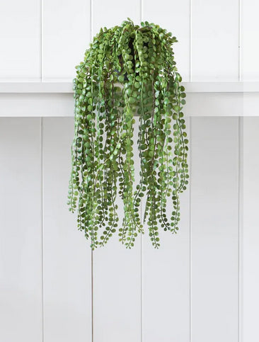 Hanging Foliage